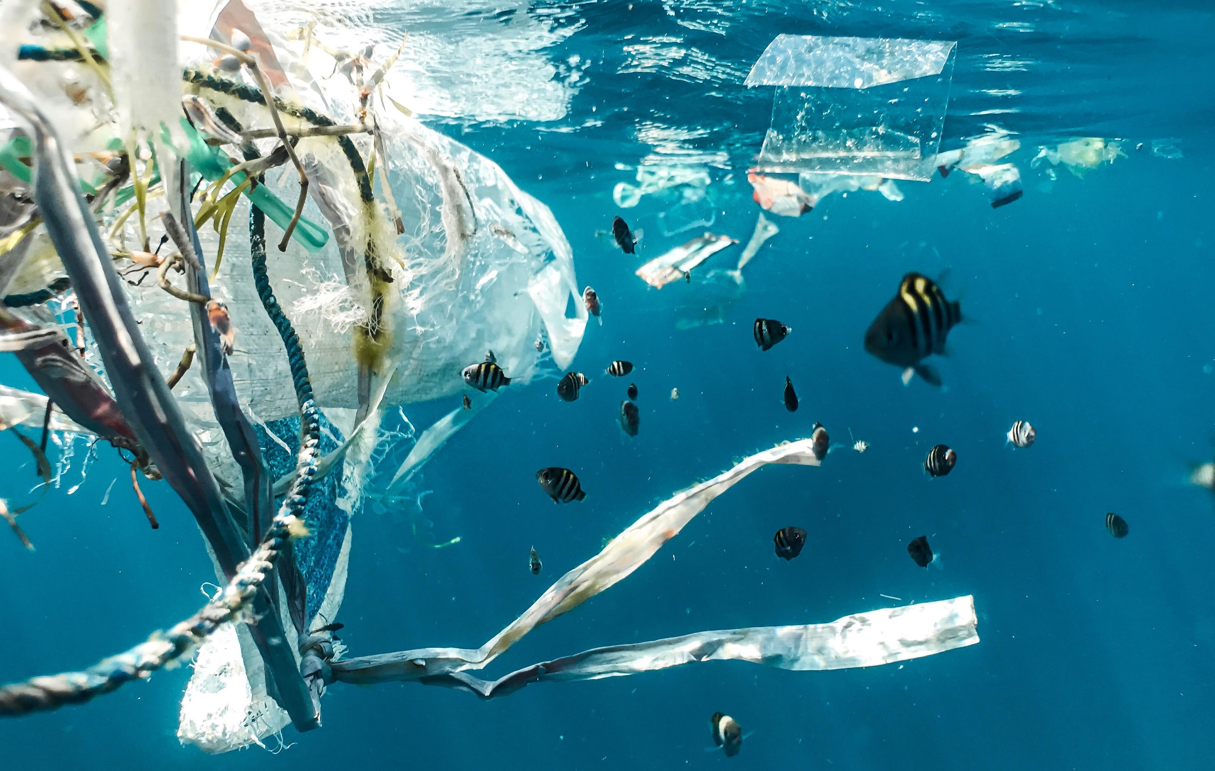 Экологические сообщества мирового океана. Пластик в океане. Пластик в мировом океане. Загрязнение мирового океана.